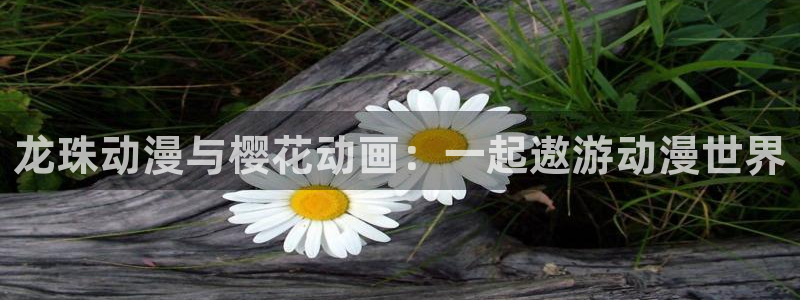 星空影视免费观看方法