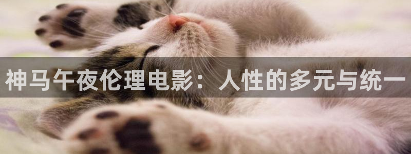 可可影视手机免费观看下载