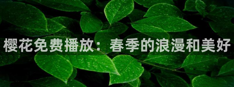 可可影视大全免费观看电视剧在线观看动漫