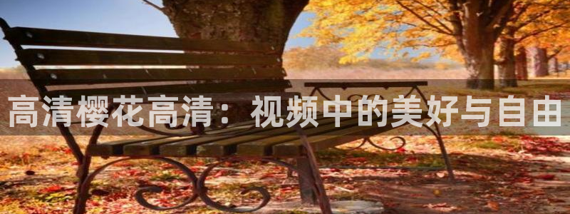 可可影视免费观看电视剧在线观看