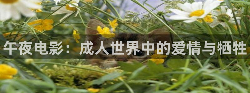 可可影视色戒