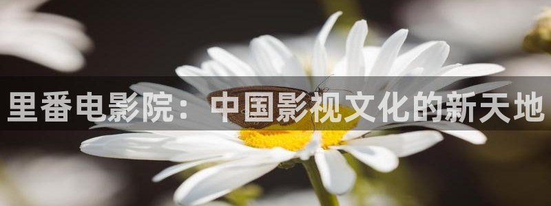 二十不惑星空影视