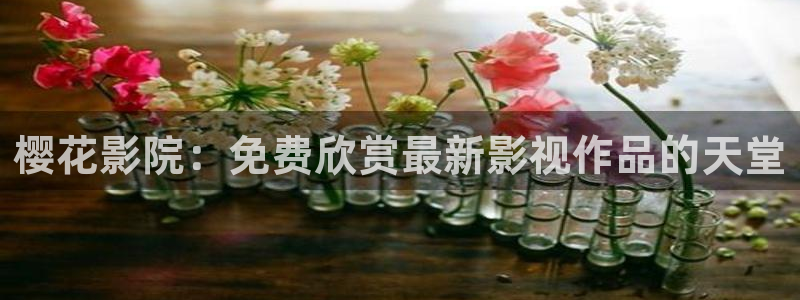 可可影视正版免费下载