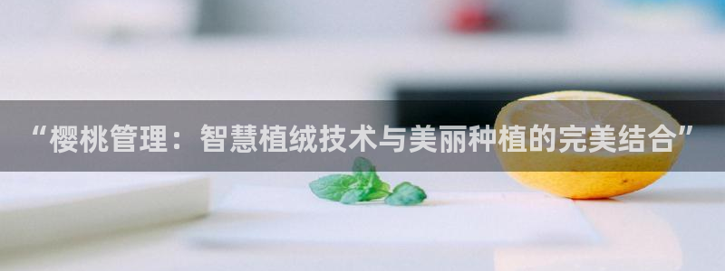 可可影视高清电影好看的电视剧推荐