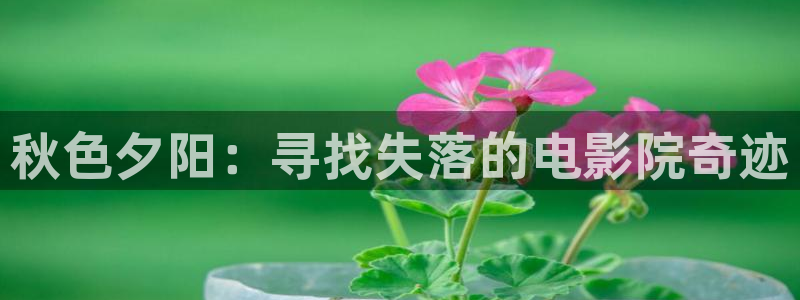 可可影视观看免费完整版