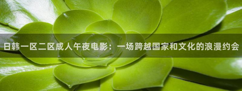 关于星空的电影有哪些