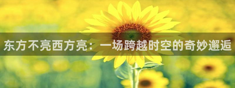 可可影视免费观看高清完整版电影