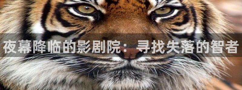 星空传媒电影免费观看