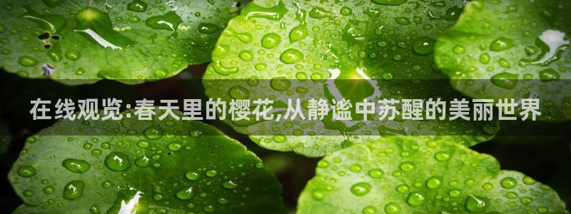 潜伏星空影视