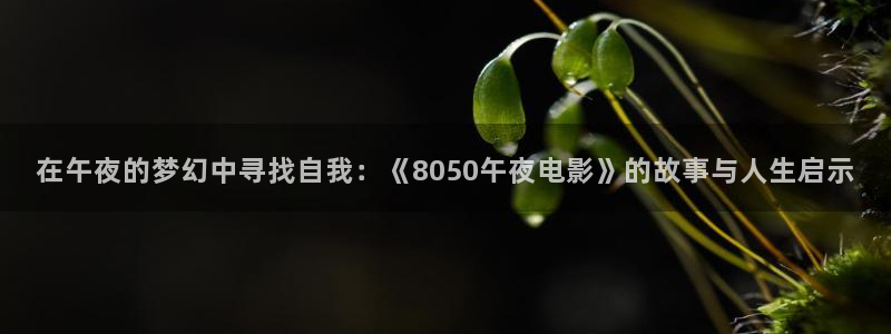 织金县星空影城