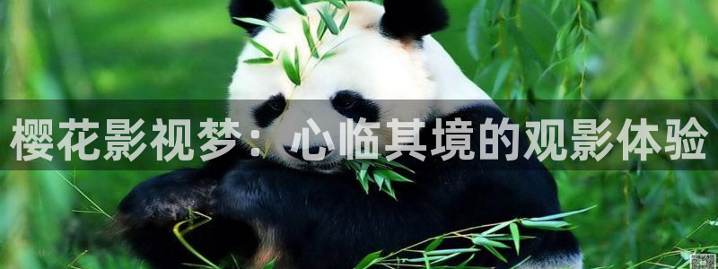 可可影视高清
