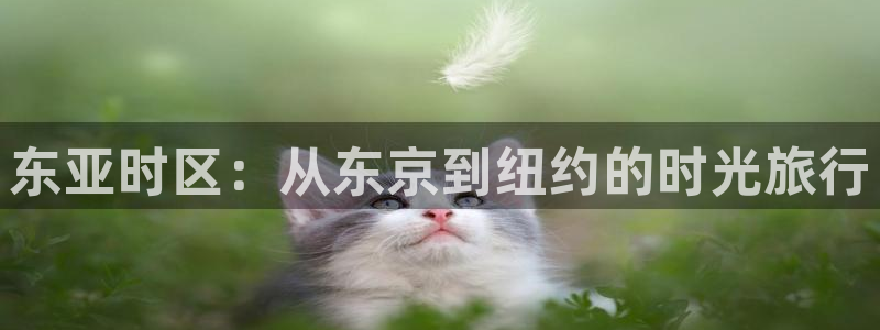 可可影视在线播放免费观看视频