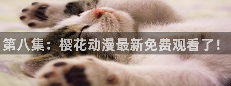 可可影视在线观看完整版免费高清