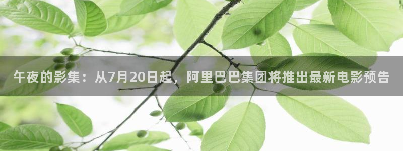 可可影视动漫免费播放