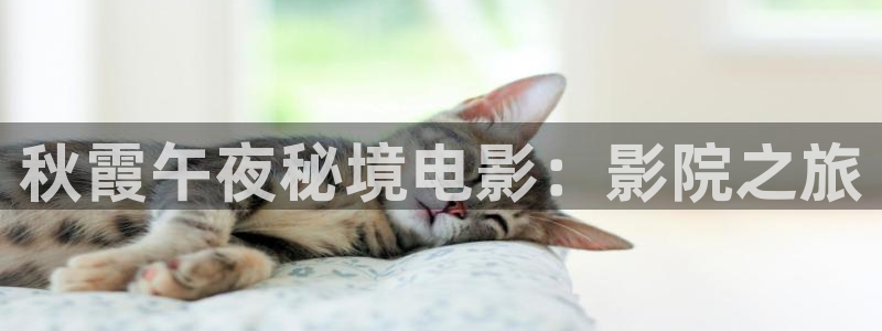 星空主题画