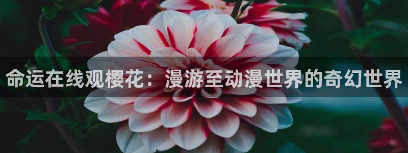 星空影城今日电影